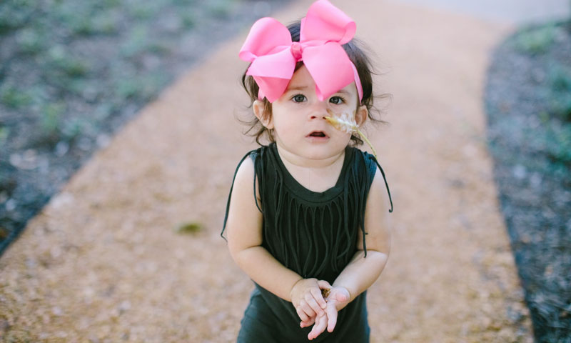 Main Content Intro Image